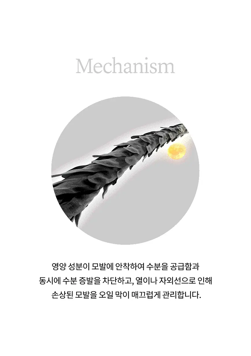 [열보호/헤어수분크림] 어네이즈 멜로우 크림 150ml 상세페이지 8
